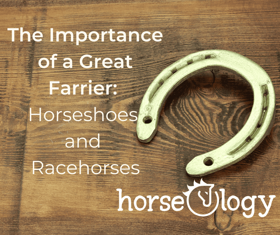 Horseshoes and the Farrier Hoof Health for Thoroughbreds