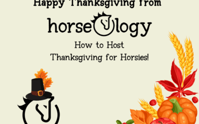Happy Thanksgiving from horseOlogy: How to Host Thanksgiving for Horsies 