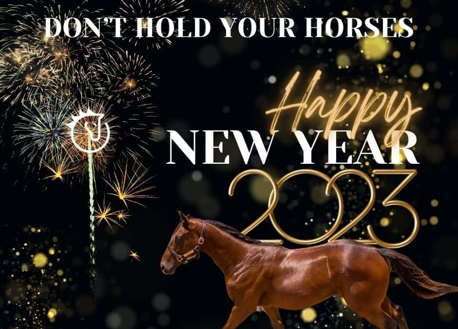 Don’t Hold Your Horses! Happy New Year