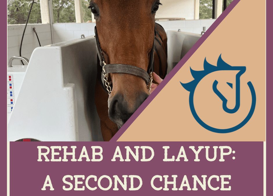 Rehab and Layup: A Second Chance