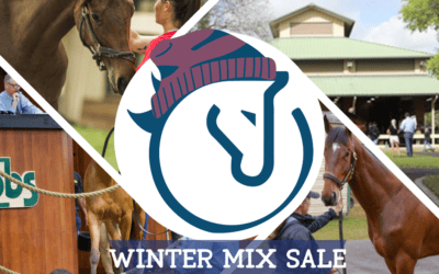 Winter Mixed Sale And HRA at OBS in Ocala