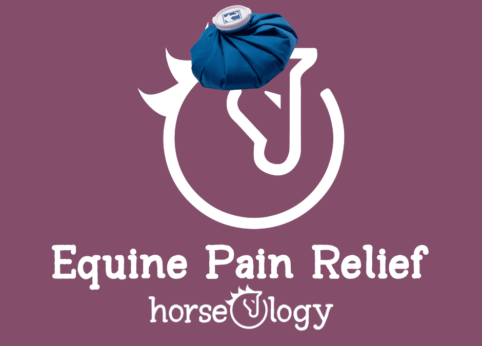 Equine Pain Relief