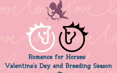 Romance for Horses: Valentine’s Day and Breeding Season