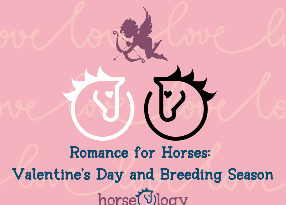 Romance for Horses: Valentine’s Day and Breeding Season