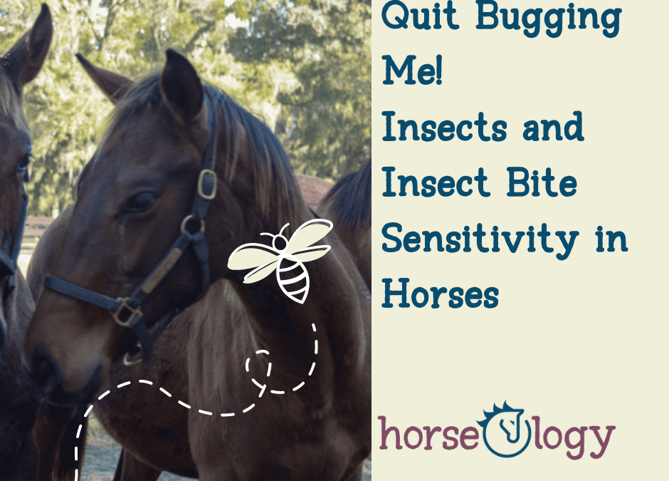 Quit Bugging Me: Insects and Insect Bite Sensitivity in Horses