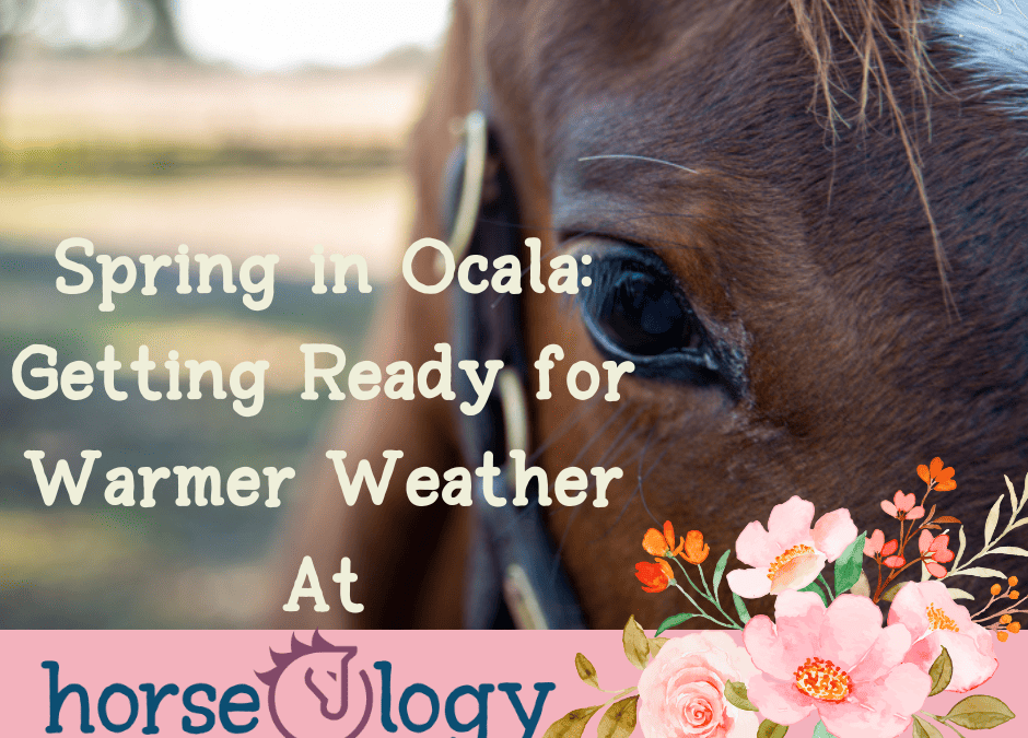 Spring In Ocala: Getting Ready for Warmer Weather