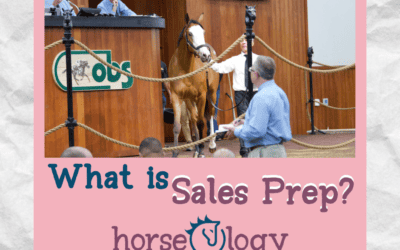 What is Sales Prep? Sales Preparation with horseOlogy          