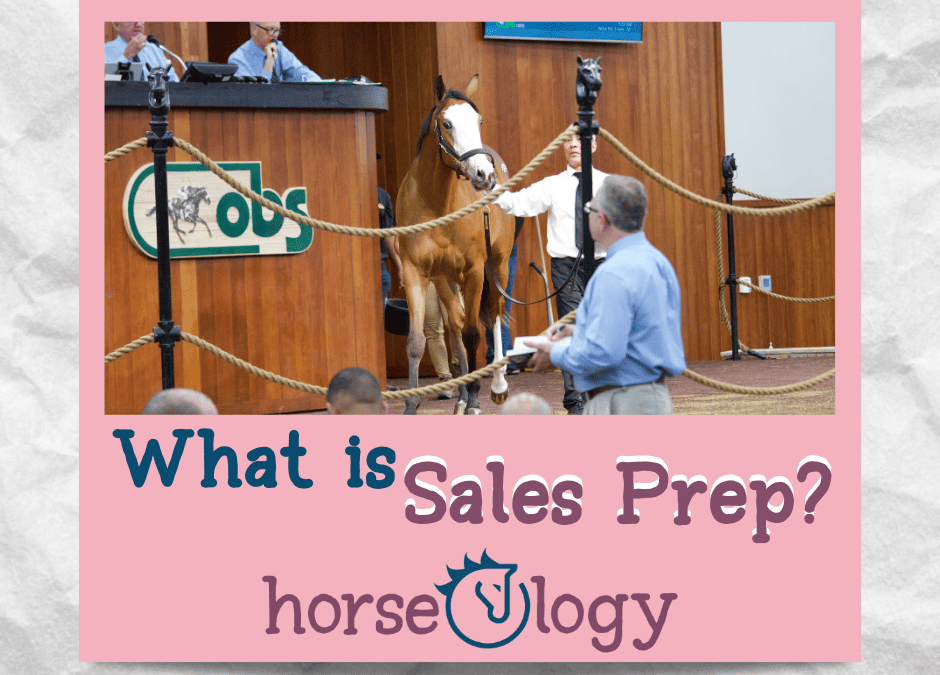 What is Sales Prep? Sales Preparation with horseOlogy          