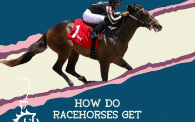 How Do Racehorses Get Their Names?