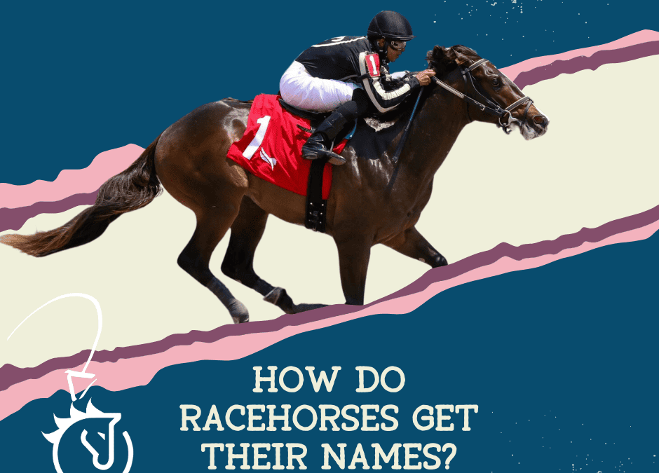 How Do Racehorses Get Their Names?