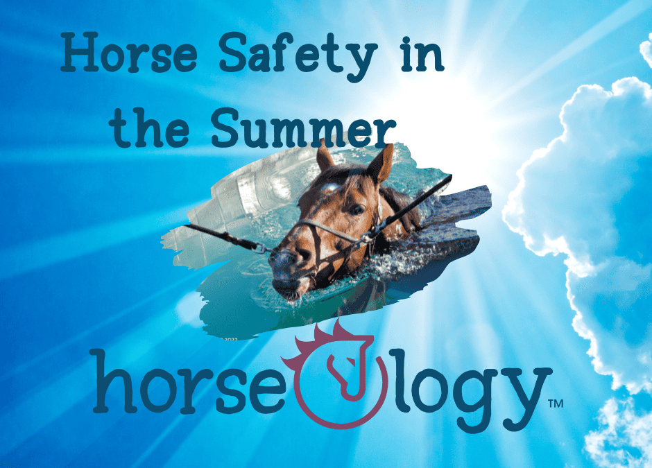 Horse Safety in the Summer