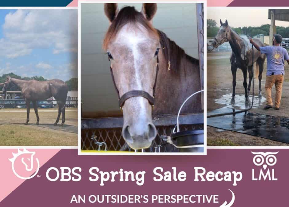 OBS Spring Sale Recap: An Outsider’s Perspective