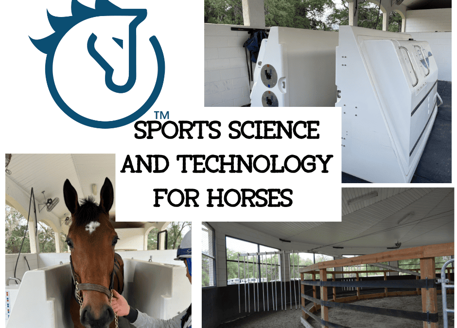 Sports Science and Technology for Horses