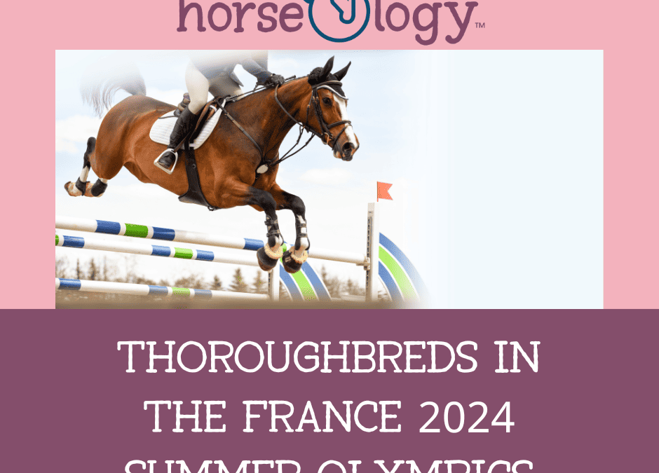 Thoroughbreds in the France 2024 Summer Olympics