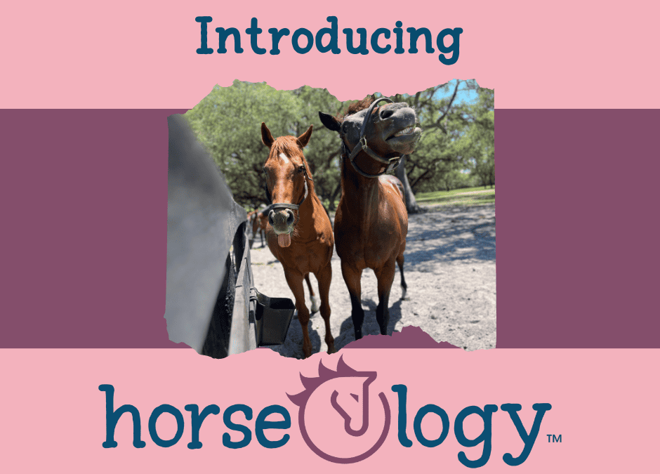 Introducing horseOlogy Encore