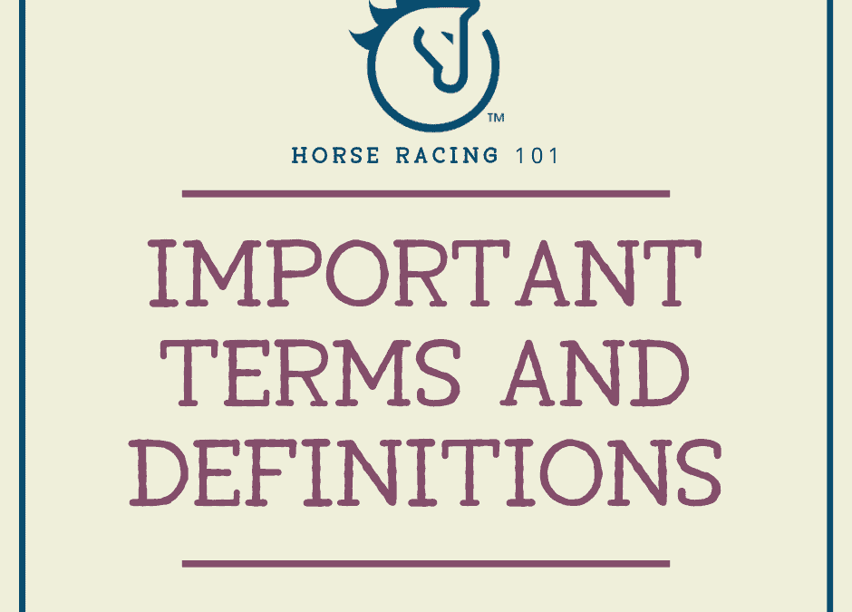 Horse Racing 101: Important Terms and Definitions