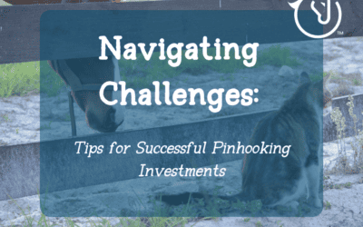 Navigating Challenges: Tips for Successful Pinhooking Investments