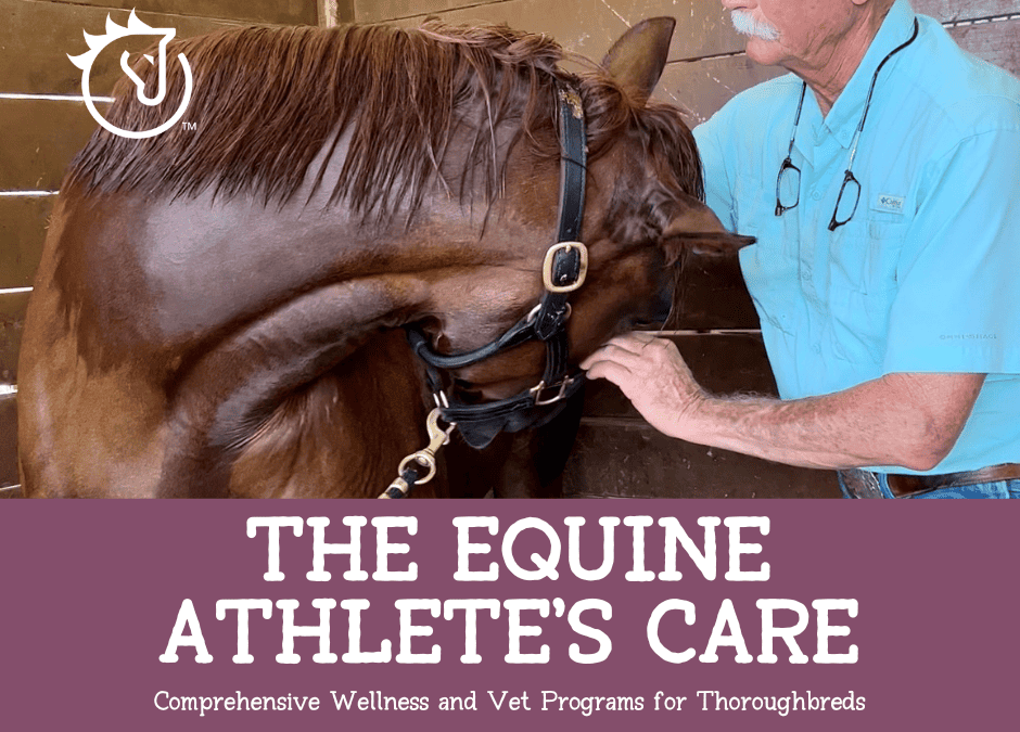 The Equine Athlete’s Care: Comprehensive Wellness and Vet Programs for Thoroughbreds