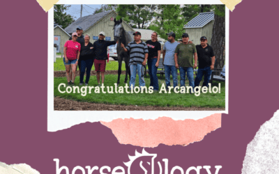 Congratulations horseOlogy Graduate Arcangelo for Travers Stakes Win!