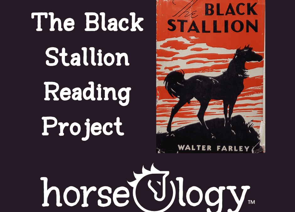 The Black Stallion Reading Project