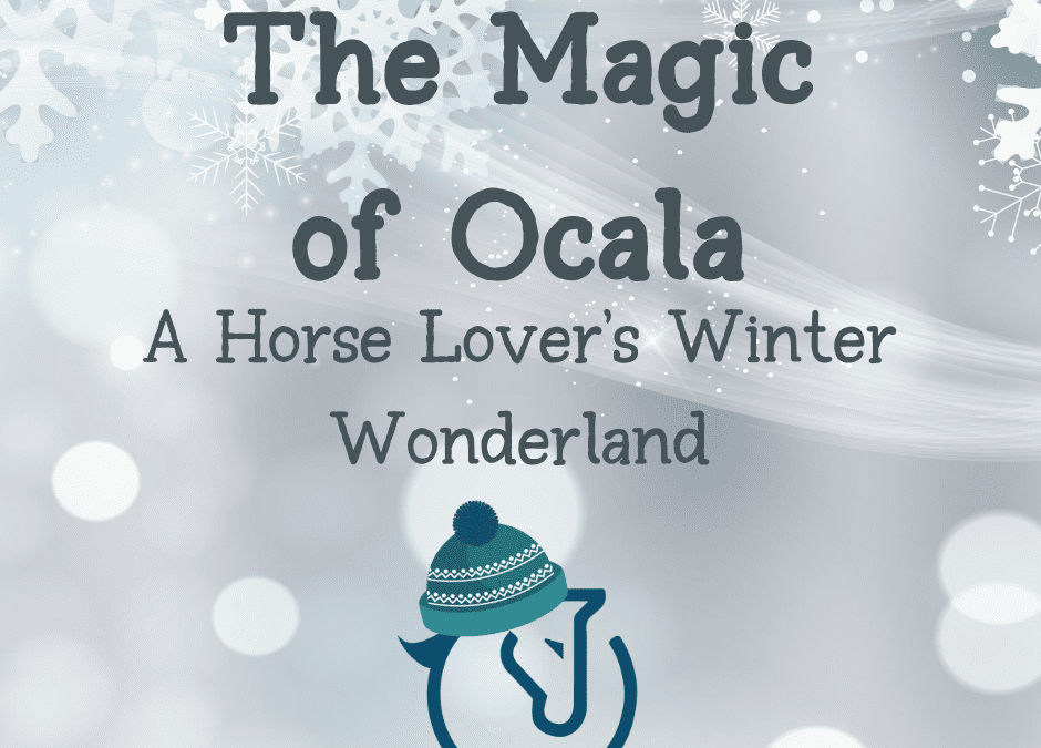 The Magic of Ocala: A Horse Lover’s Winter Wonderland