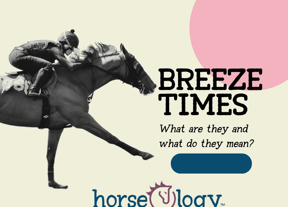 Breeze Times: What Are They and What Do They Mean?
