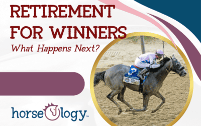 Retirement for Winners: What Happens Next?