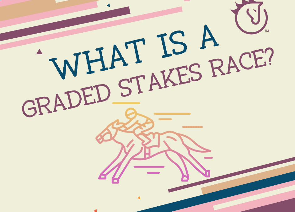 What is a Graded Stakes Race?