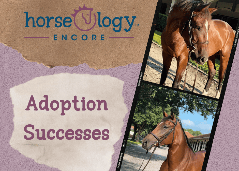 horseOlogy Encore: Adoption Successes