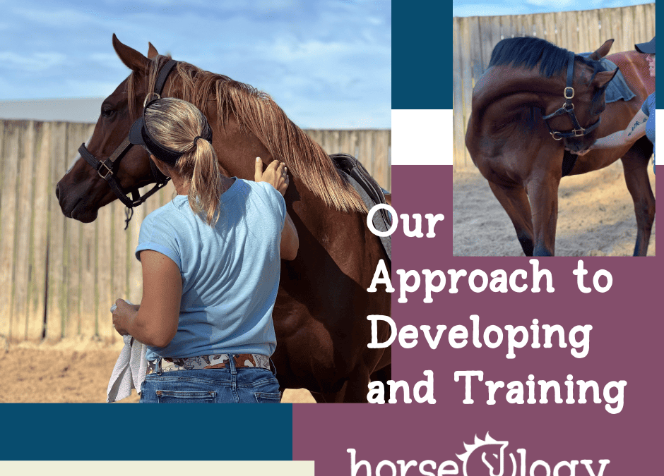 Our Approach to Developing and Training