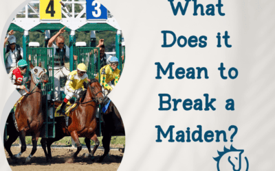 What Does it Mean to Break a Maiden?