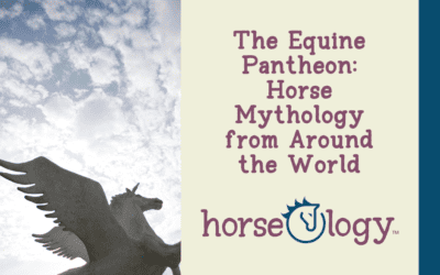 The Equine Pantheon: Horse Mythology from Around the World