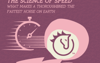 The Science of Speed: What Makes the Thoroughbred the Fastest Horse on Earth