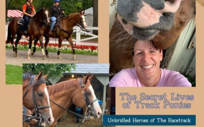 The Secret Lives of Track Ponies: Unbridled Heroes of the Racetrack