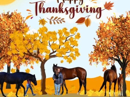 Why We’re Thankful for the Team Behind Every Thoroughbred