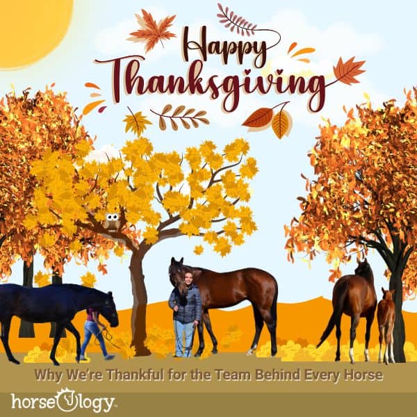 Why We’re Thankful for the Team Behind Every Thoroughbred