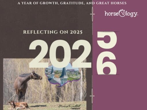 Reflecting on 2025  Growth, Gratitude and Great Horses
