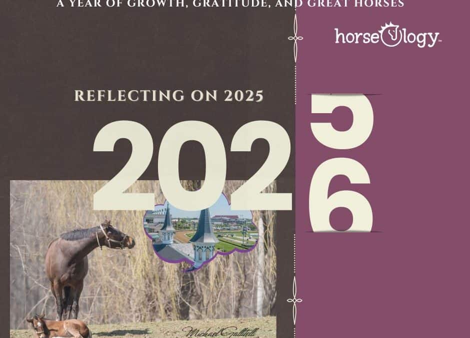 Reflecting on 2025  Growth, Gratitude and Great Horses