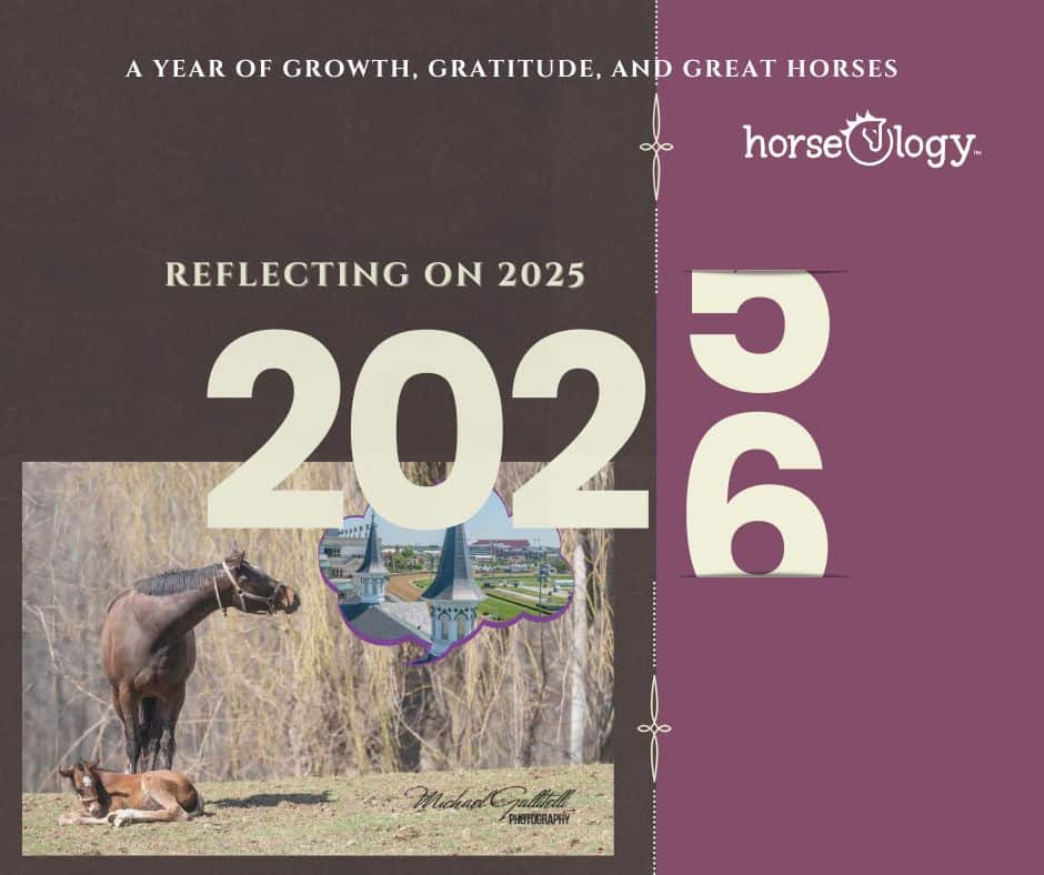 horseOlogy reflecting on 2025 and looking ahead to 2026 in Thoroughbred ownership