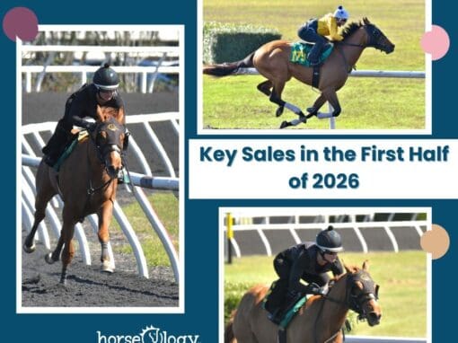 2026 Thoroughbred Sales Calendar | Key Auctions in the First Half of the Year