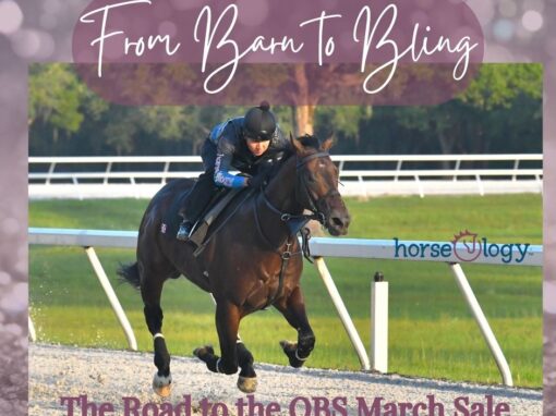 From Barn to Bling: Preparing 2-Year-Olds for the OBS March Sale