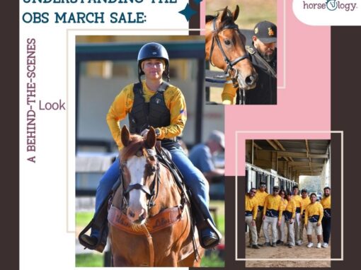 Protected: Understanding the OBS March Sale