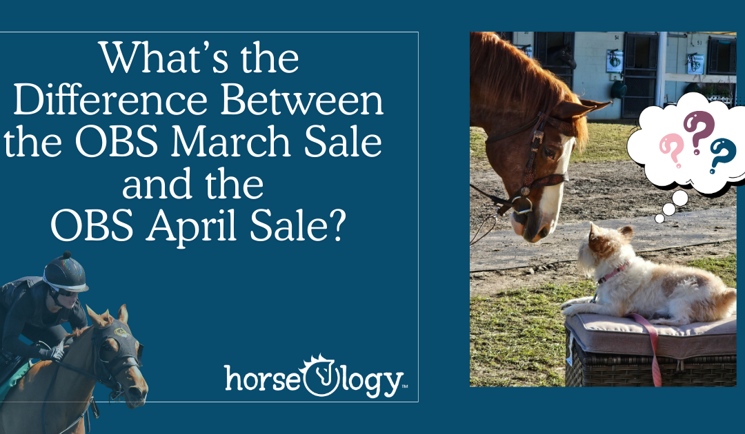 Protected: OBS March vs April Sale: What’s the Difference?