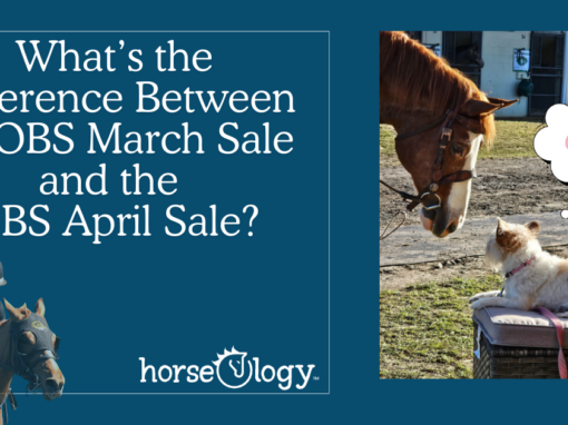 Protected: OBS March vs April Sale: What’s the Difference?