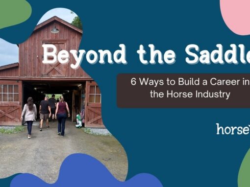 Beyond the Saddle: 6 Ways to Build a Career in the Horse Industry
