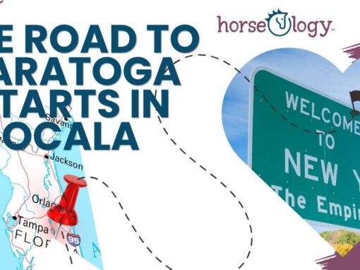 Protected: The Road to Saratoga Starts in Ocala Protected: The Road to Saratoga Starts in Ocala