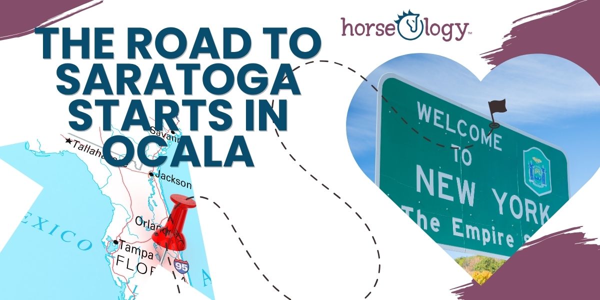 horseOlogy Thoroughbreds preparing in Ocala before Saratoga racing season