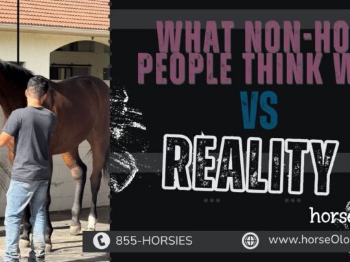 What Non-Horse People Think We Do vs. Reality
