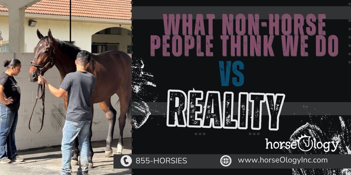 What Non-Horse People Think We Do vs. Reality