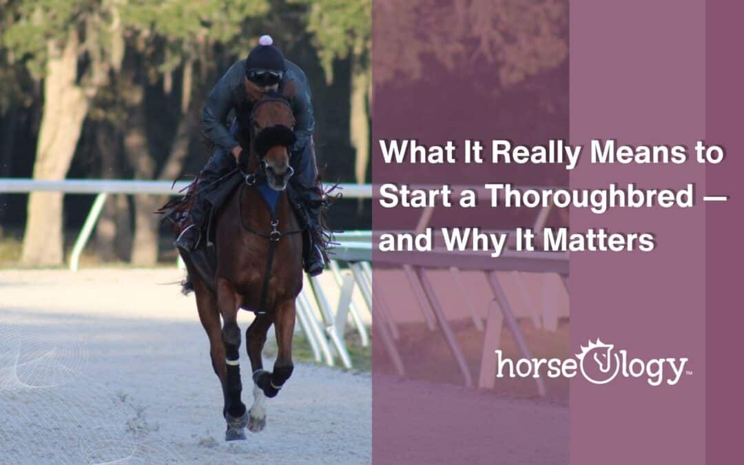 What It Really Means to Start a Thoroughbred — and Why It Matters